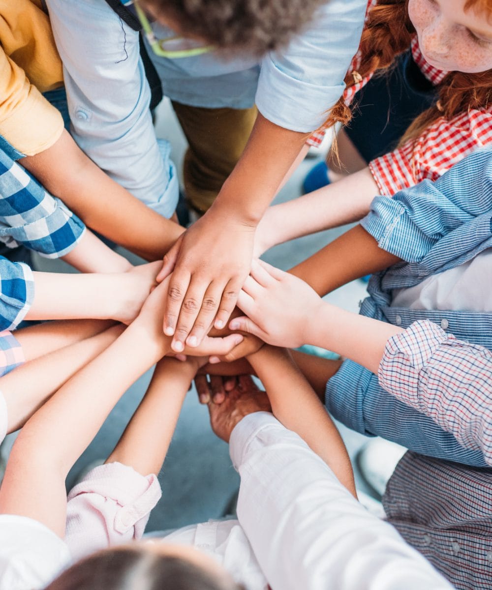 Professionell, Kompetent, Gemeinnützig